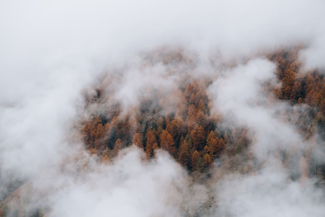 电影《有朵云像你》发布同名主题曲MV 陈昊宇温顺唱响云端爱意浪漫又治好